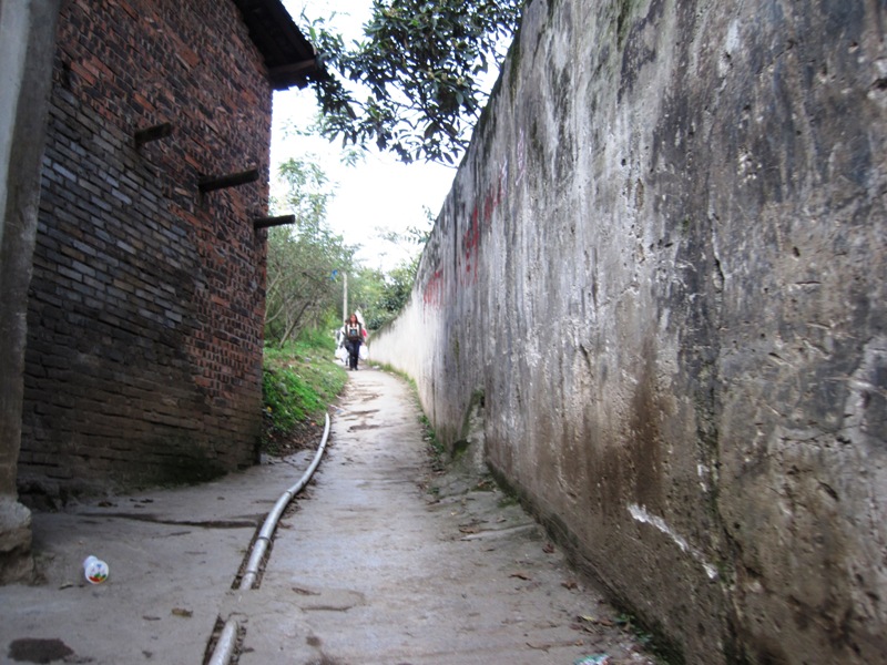 IMG_2937.JPG