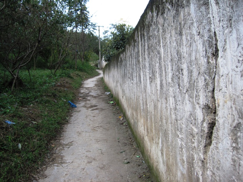 IMG_2939.JPG